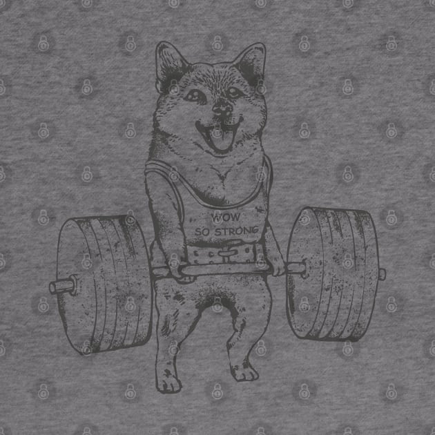 Shiba Inu Lift by huebucket